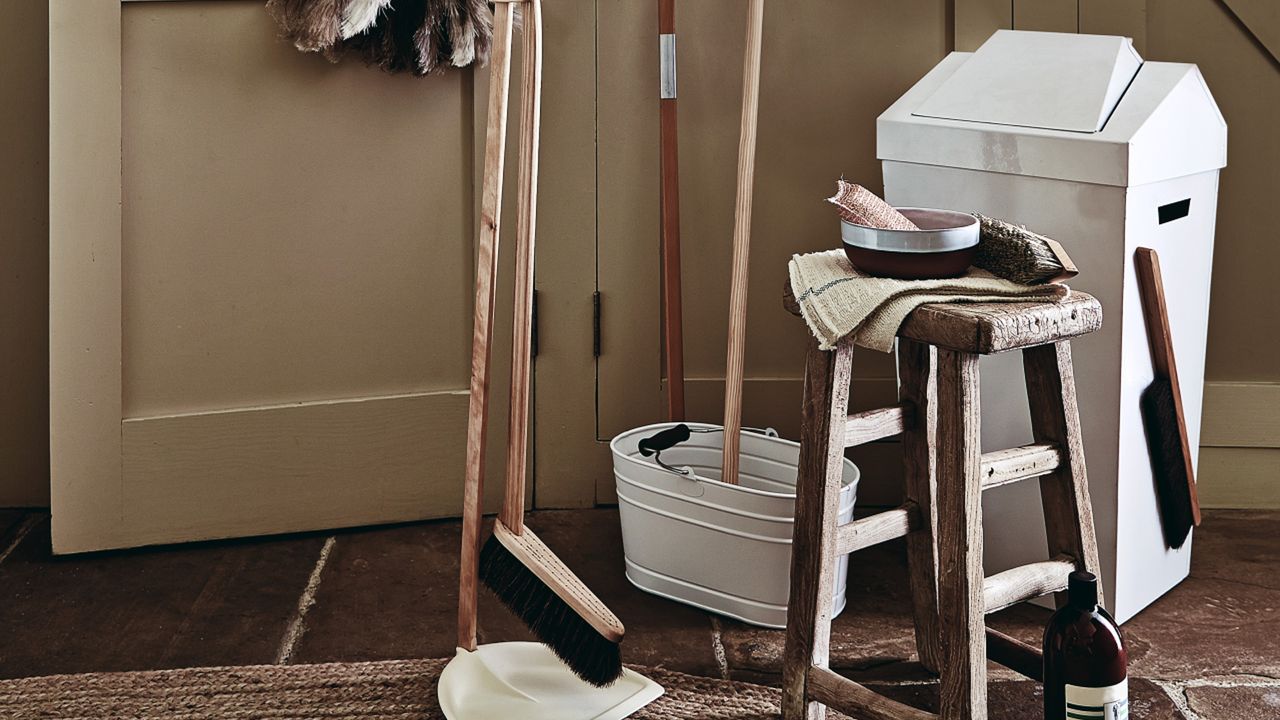 Storage full of cleaning supplies and brushes