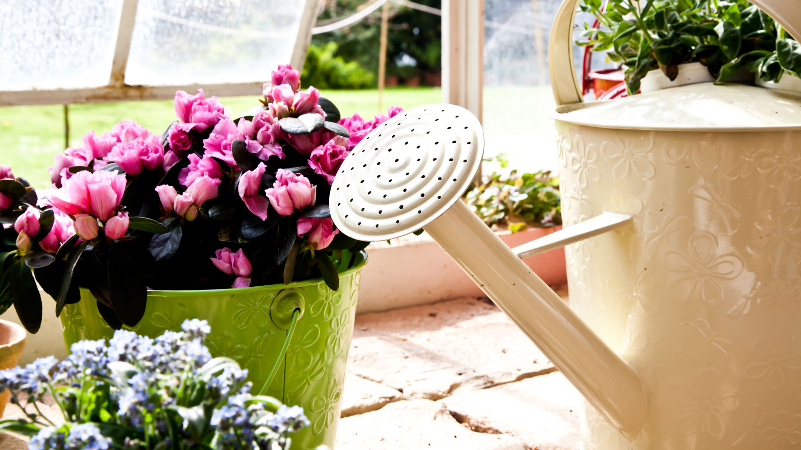 watering can in greenhouse with flowers