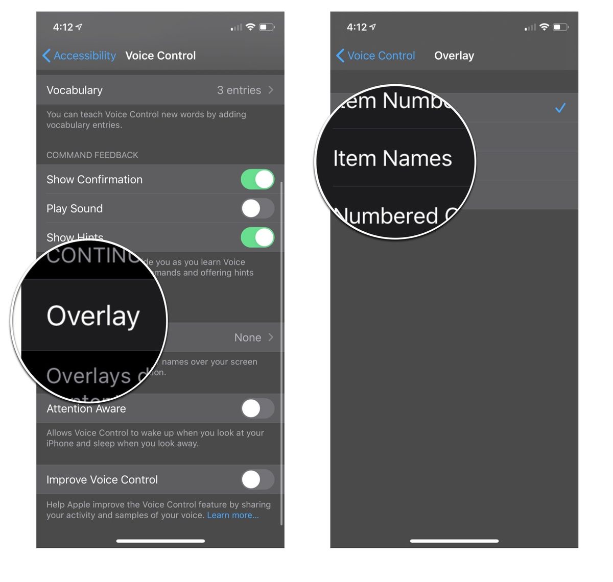 Item names overlay settings: Tap overlay and then tap item names
