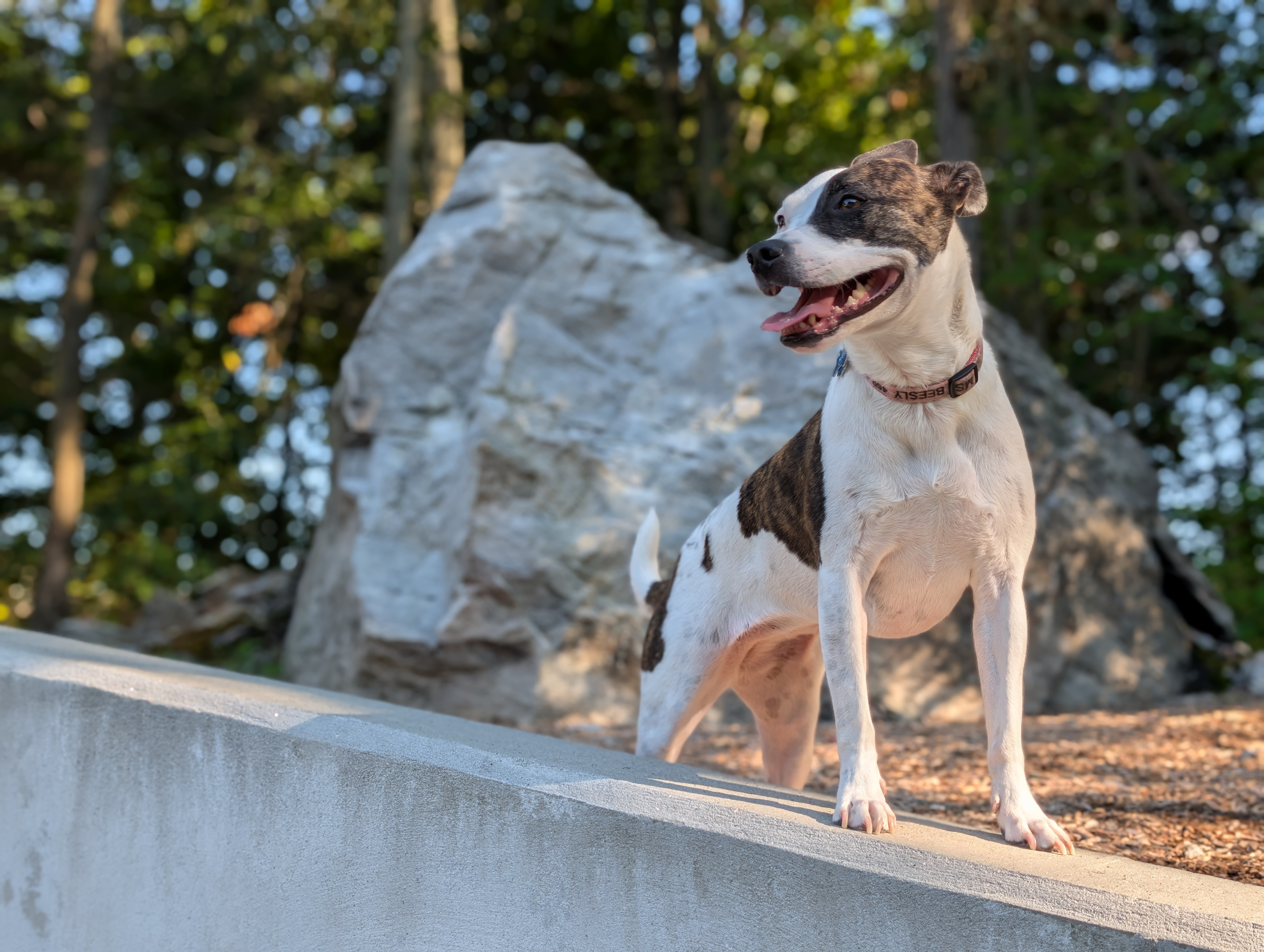 Camera image samples taken with the Google Pixel 10 Pro XL