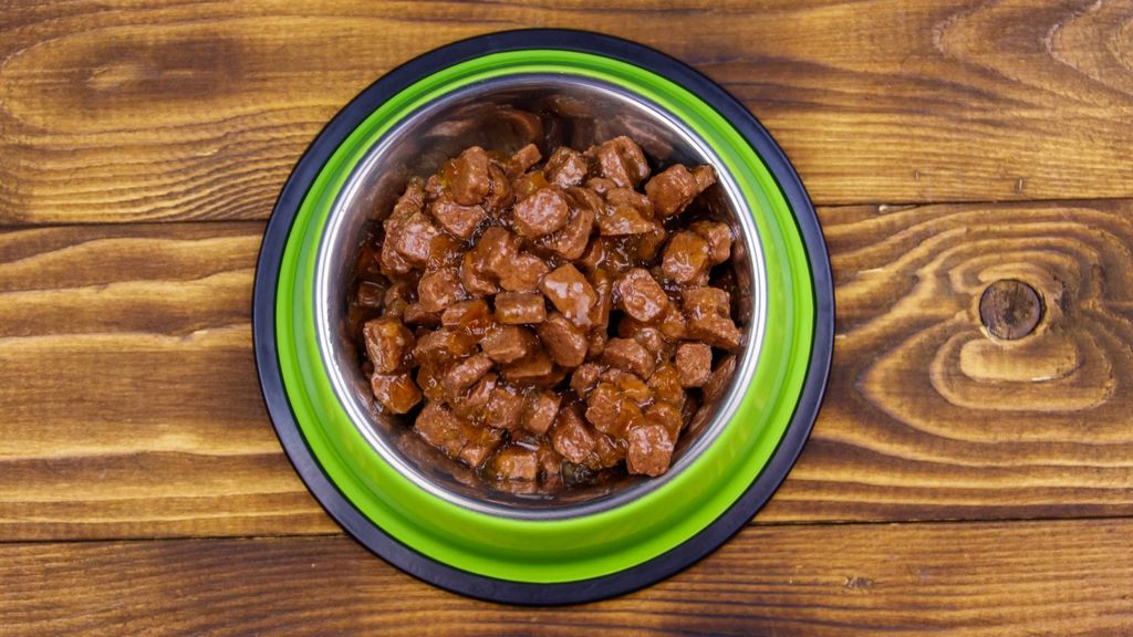 Is wet food bad for cats? A vet’s view PetsRadar