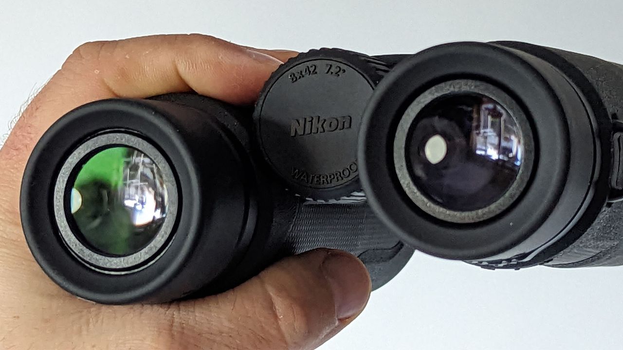 Eye lenses close up