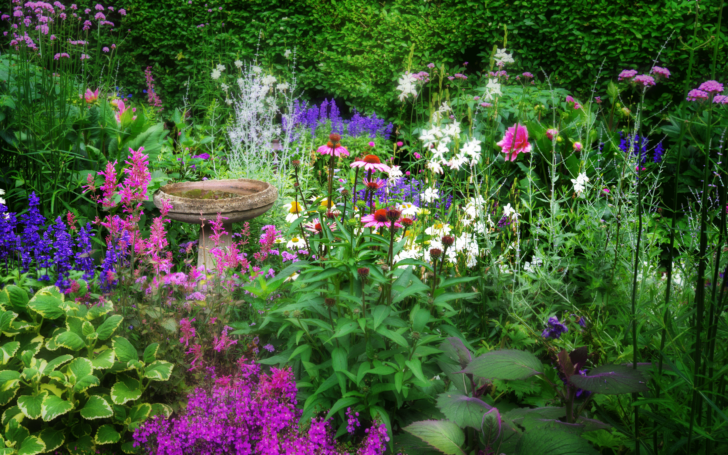 flower garden with birdbath