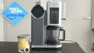 Ninja Swirl in lifestyle setting