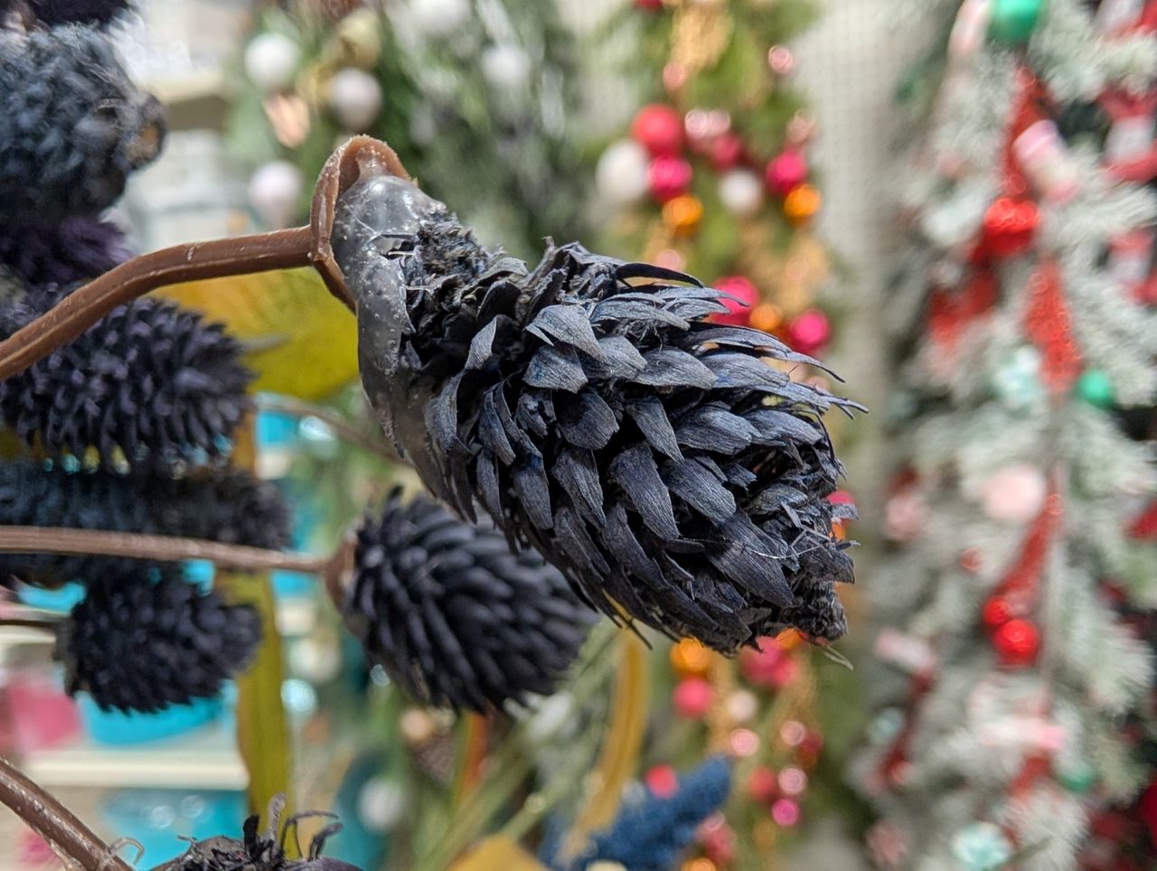 Google Pixel 9 Pro XL macro sample.