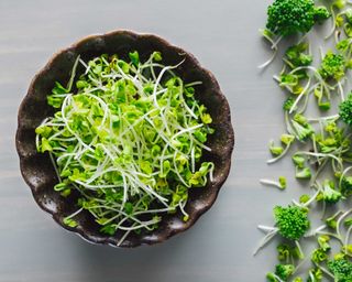 broccoli sprouts in bowl