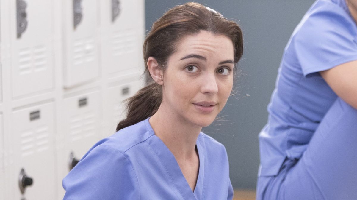5 New Grey's Anatomy Cast Members In Season 19 And Where You've Seen