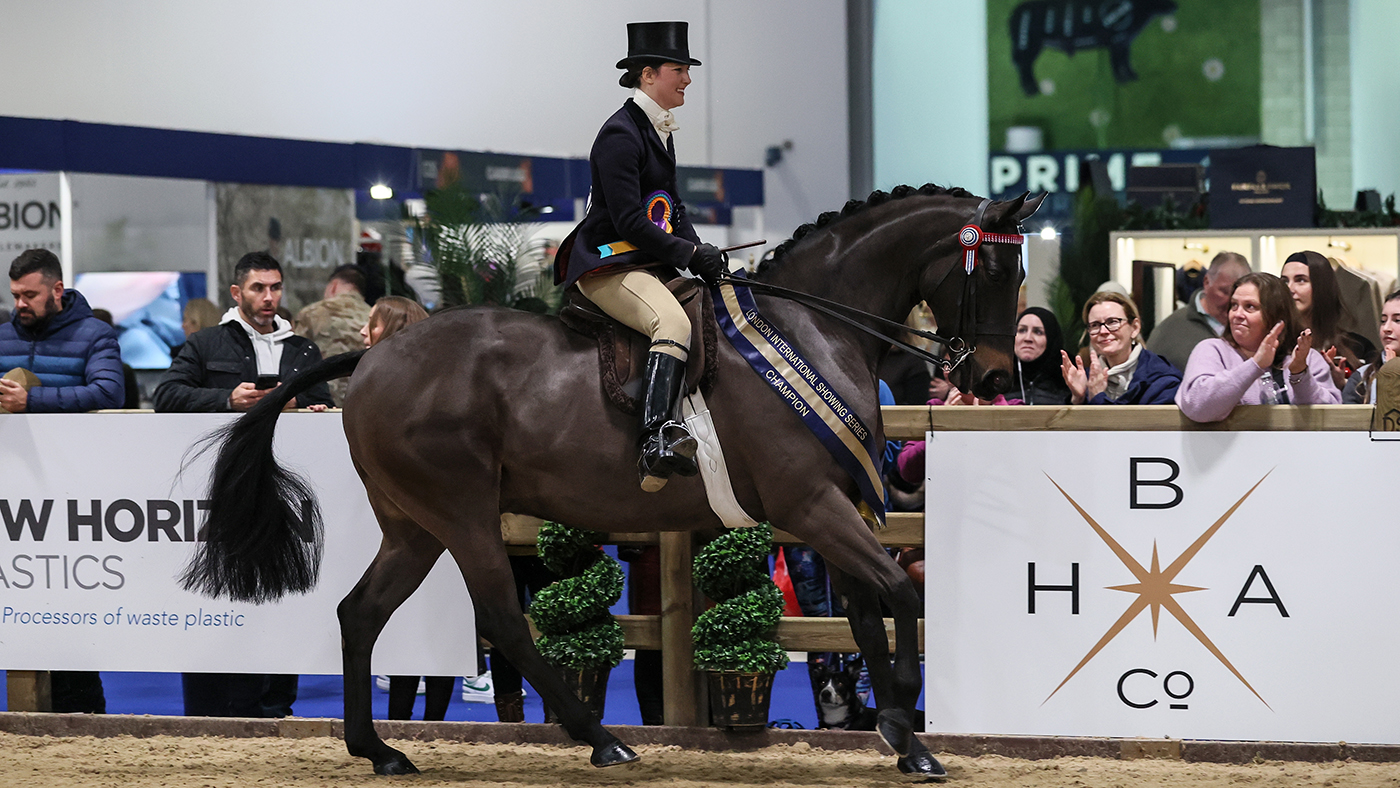 Bassingfield Dark Secret at London International 2023 winning the Rising Stars hack final, this time assessed by Rising Star judge Danielle Heath