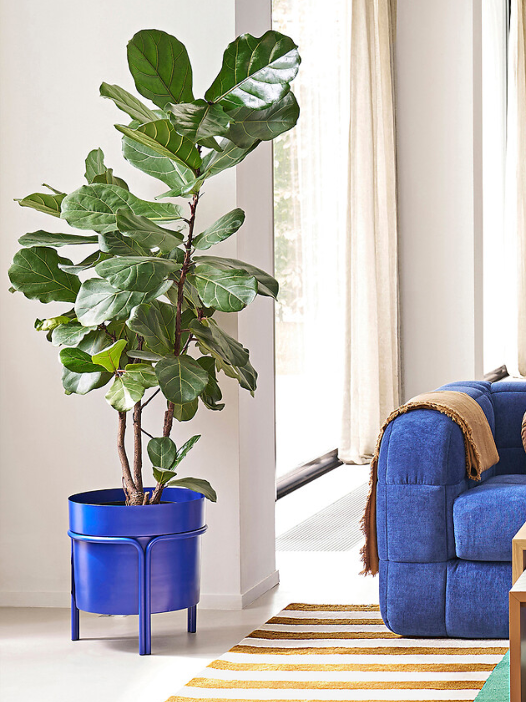 A bright blue standing iron metal plant pot from La Redoute