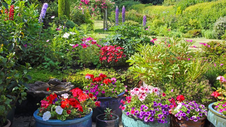 7 plants you should never put in pots or raised planters | Ideal Home