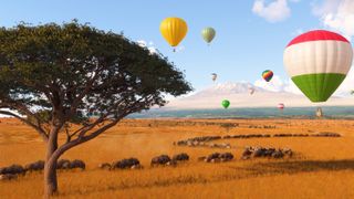 Hot air balloons flying over trees and wildebeests