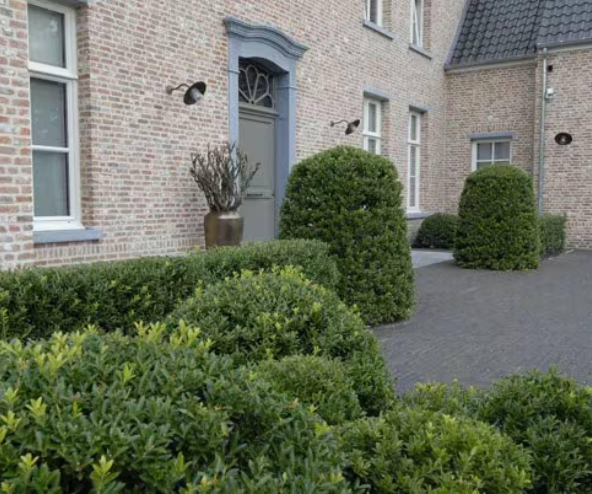Topiary hedging around a front door