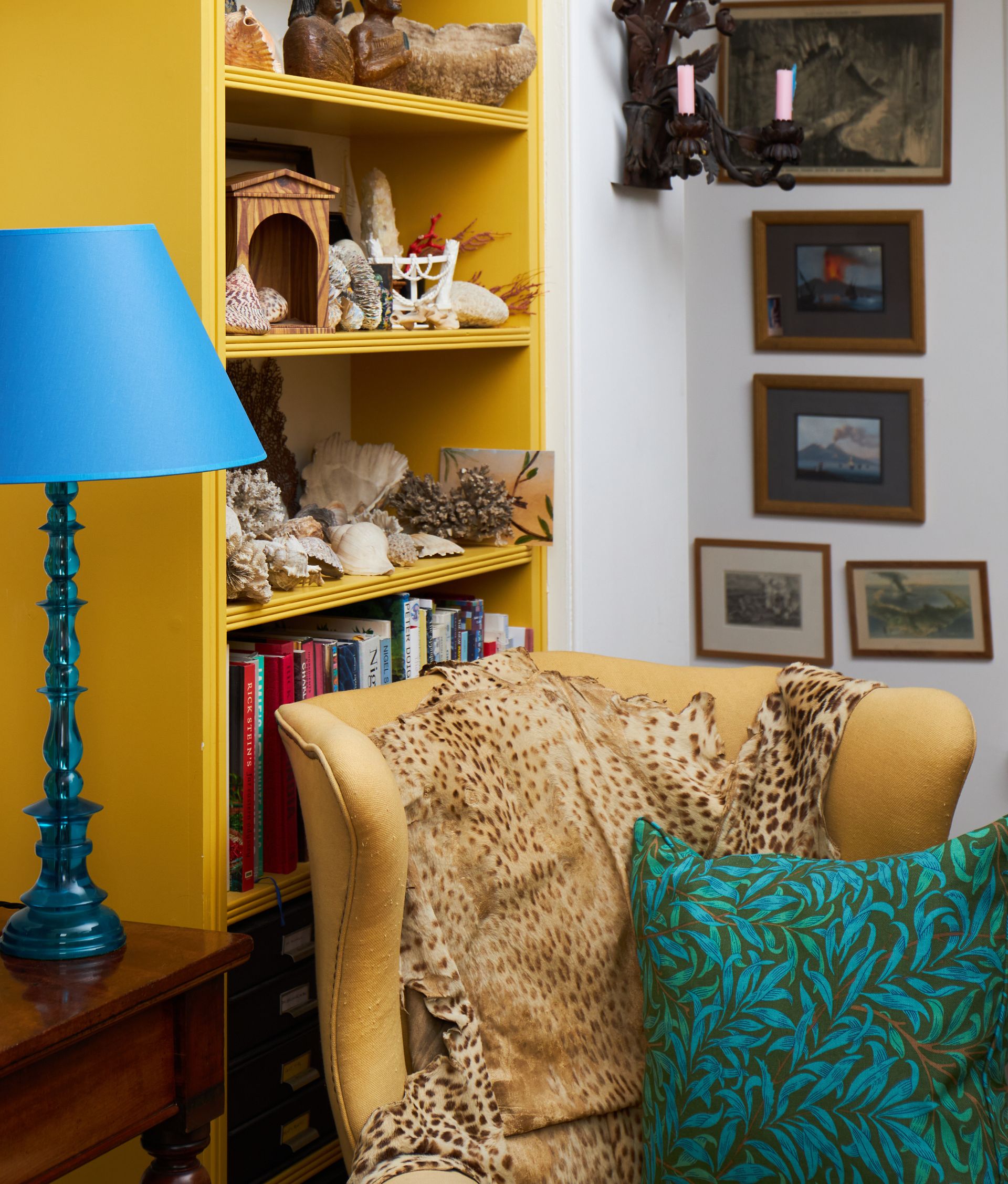 Yellow bookshelves