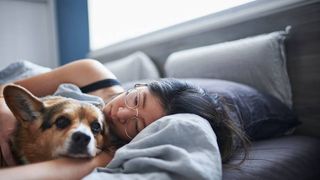 dog lying in bed with owner