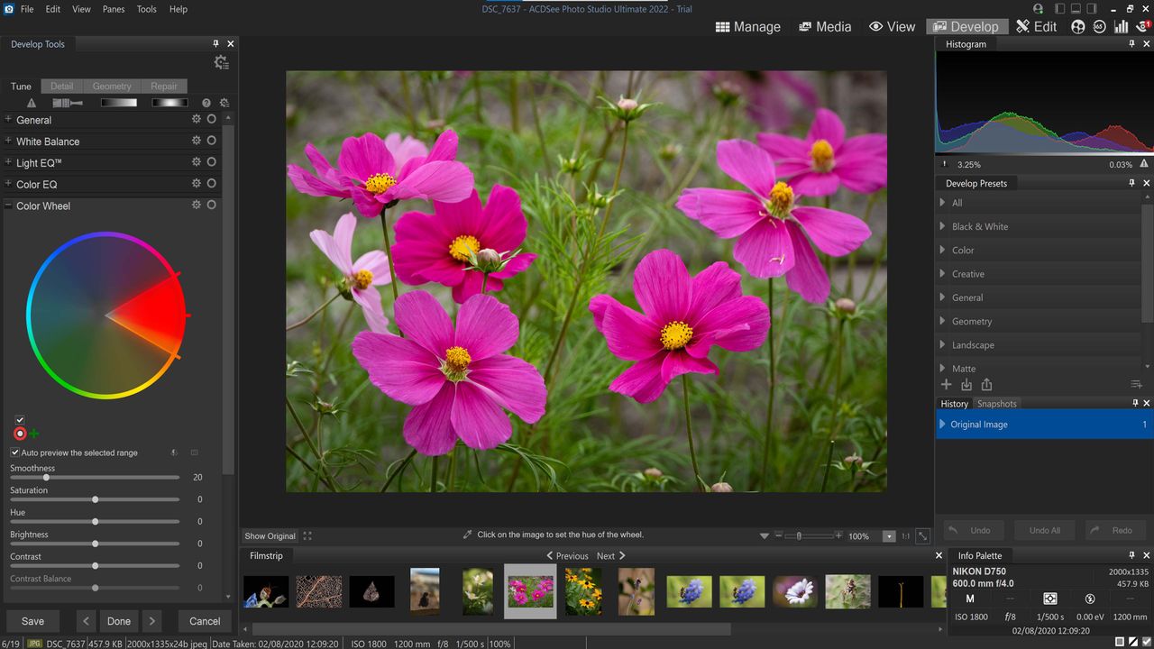 ACDSee review: image shows ACDsee develop mode