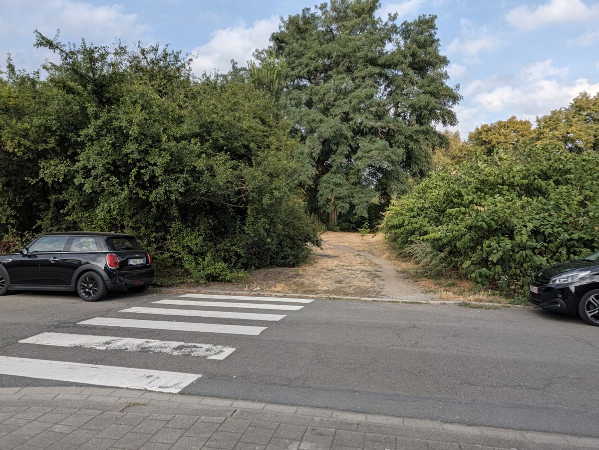 Google Pixel 11 Pro voorbeeldfoto