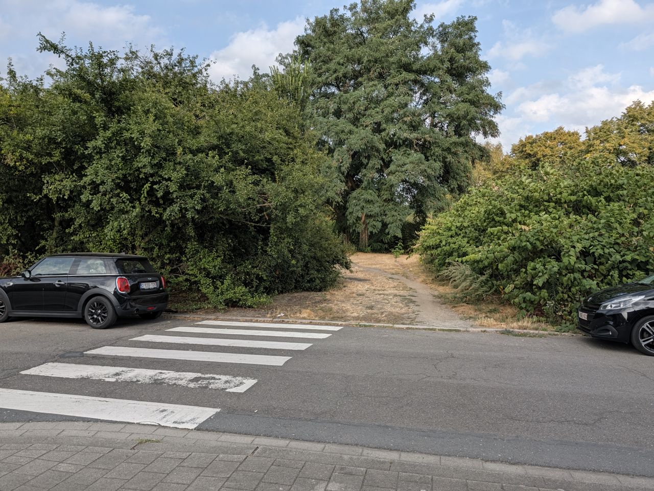 Google Pixel 11 Pro voorbeeldfoto