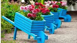 Row of blue wagon planters