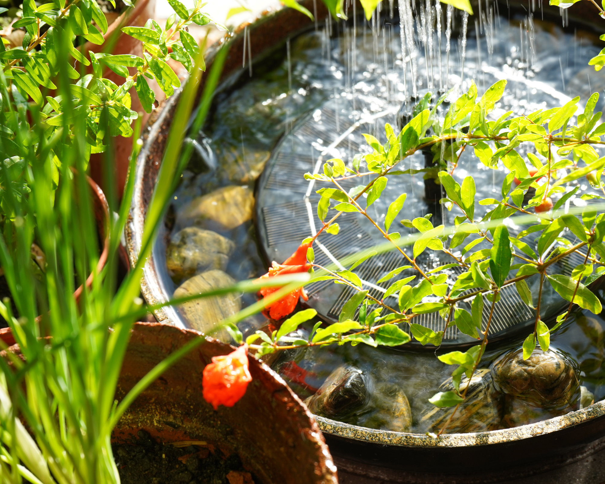 Patio water feature created from a planter, pebbles and a solar powered floating water fountain