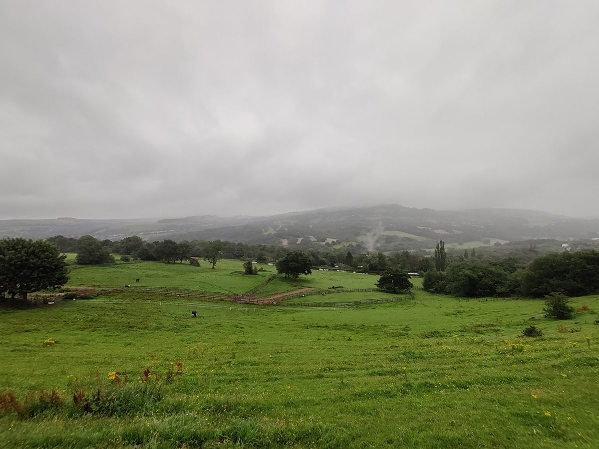 OnePlus Nord camera sample