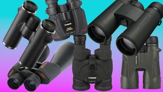 Collection of Canon / Nikon / Celestron / Vortex / Swarovski / binoculars on a pink to blue gradient 
