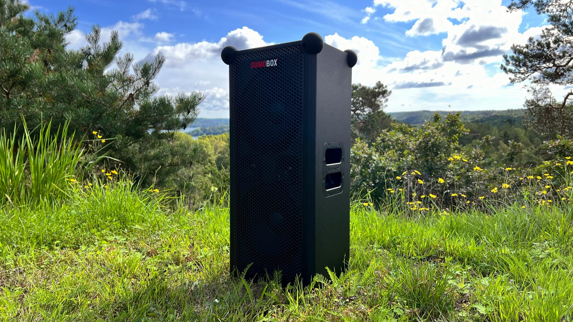 Sharp Sumobox på gräsmatta