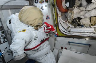 An "elf" gets a little tangled up with spacesuit hardware on the International Space Station on December 2018.