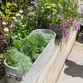 garden with potted plants in metal rectangular pots