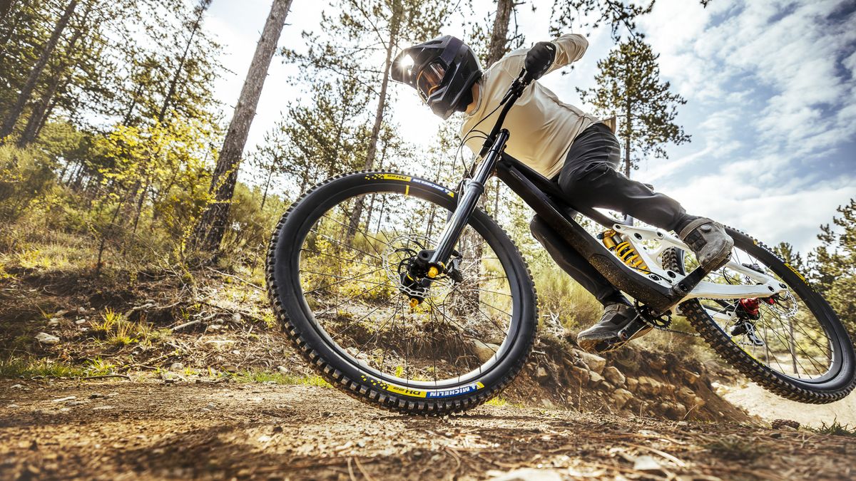 Michelin tires on a mountain bike