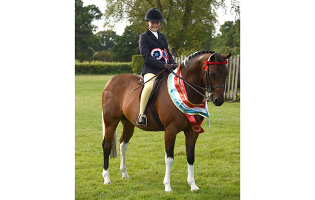 PHOEBE AIREY riding BROOKFARM MR CHIPS, winner of the Skewbald &amp;amp; Piebald Amateur Championship during the Royal International Horse Show at The All England Jumping Course, Hickstead, West Sussex, UK on 26 July 2016