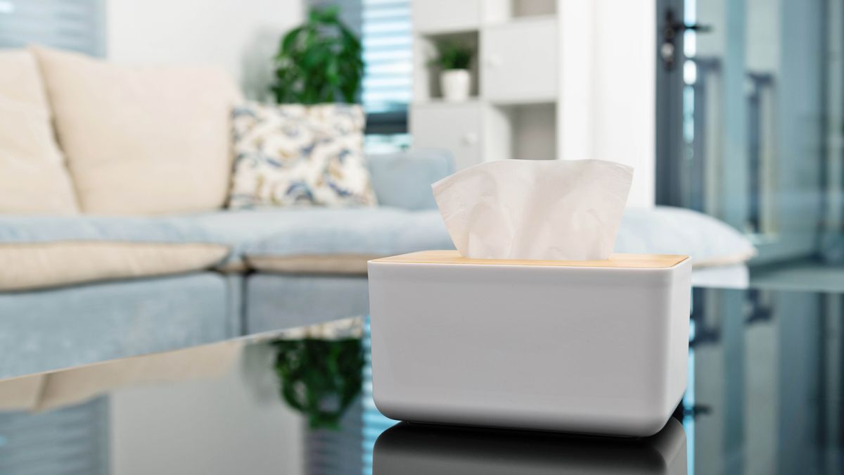 7 creative ways to disguise ugly items in your home Tom's Guide