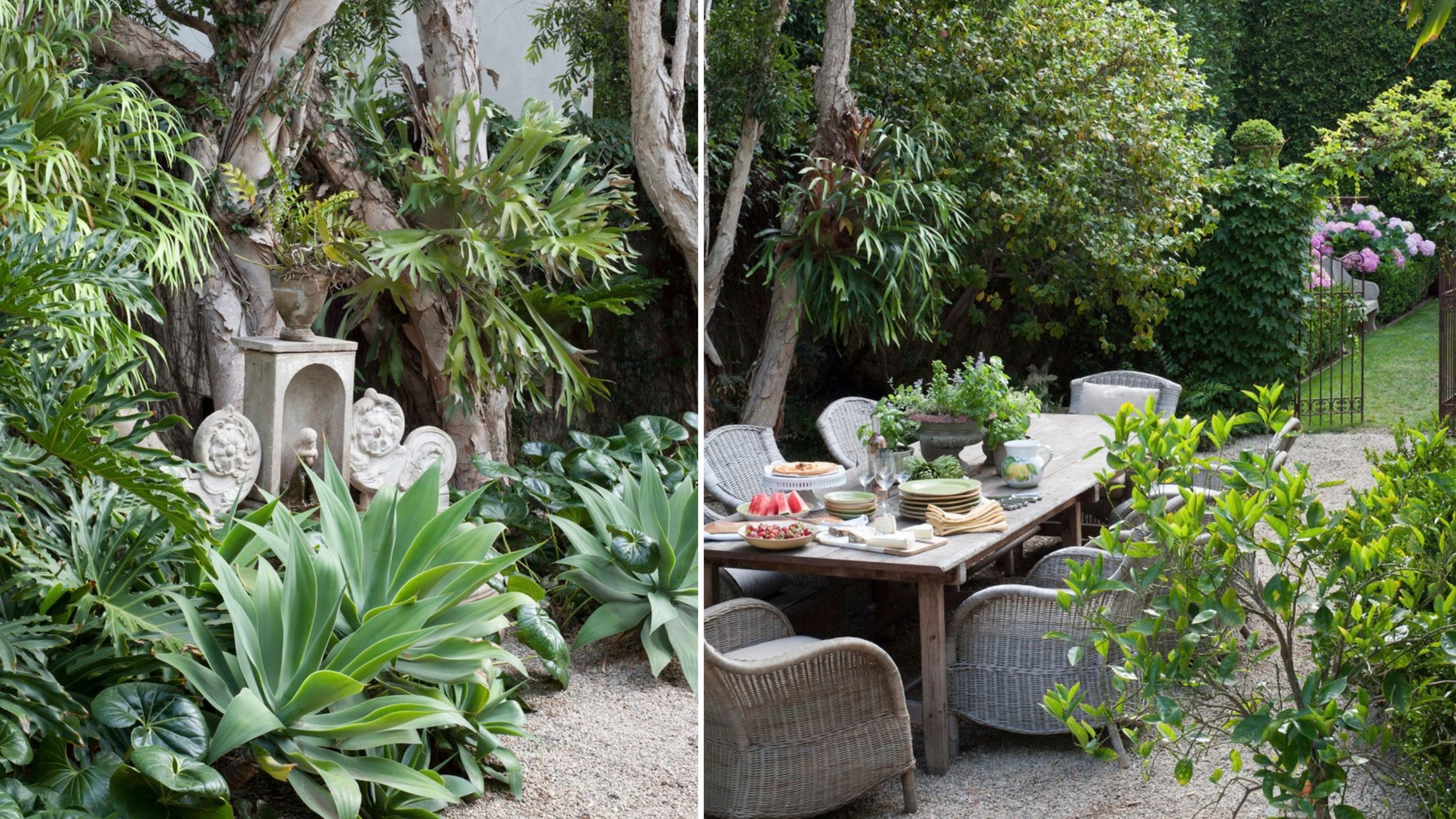 Stephen Block's garden