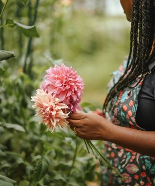 Dee holding dahlias from her garden