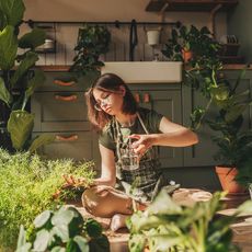 young woman gardening indoors with a big variety of houseplants