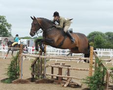 The Showing Register Show Summer Gala 2013