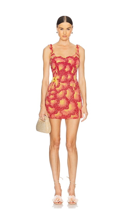 Sunset Rose Dress