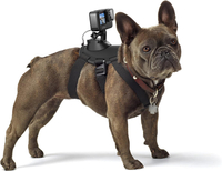 GoPro Fetch dog harness: $39 @ Amazon