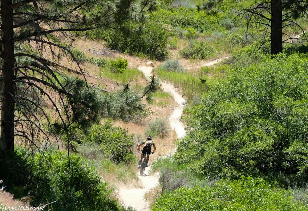 Crystal Anthony (Riverside Racing) making her way down Ash Canyon