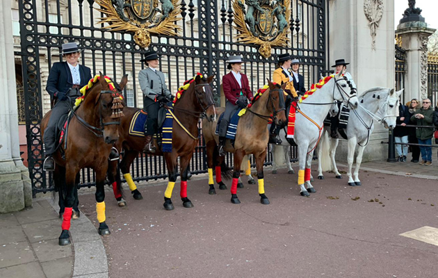 Image outside Buckingham Palace courtesy of Susie Jennings