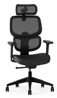 FlexiSpot C7 Premium Ergonomic Office Chair