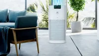 Check out the Motorola AP 450 purifier at Flipkart