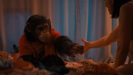 Ben the chimp making friends in the trailer for Primate