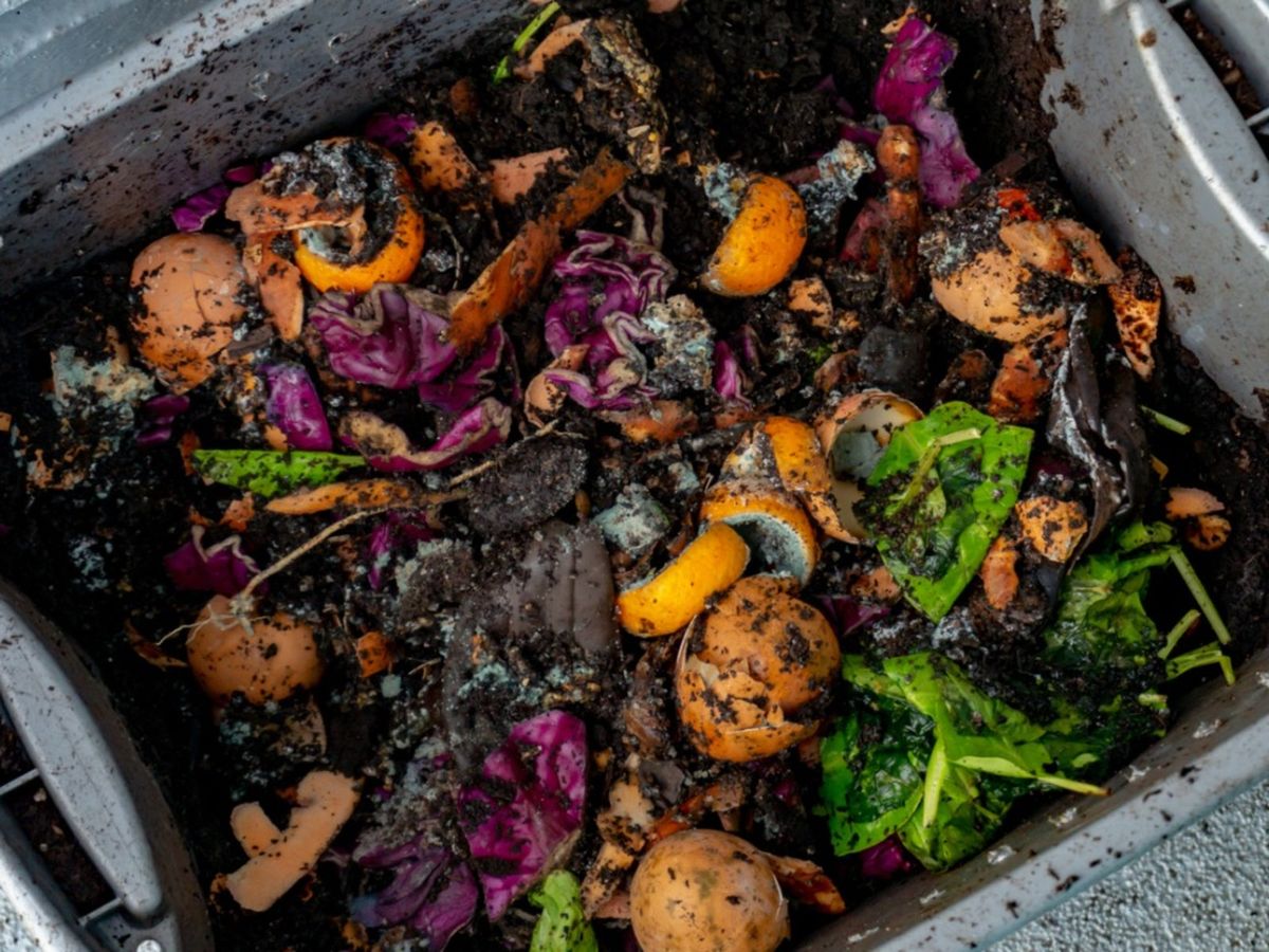 How to Stop Your Kitchen Compost Bin from Smelling - Naples Compost