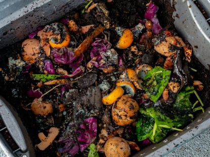 Compost Filled With Food and Soil
