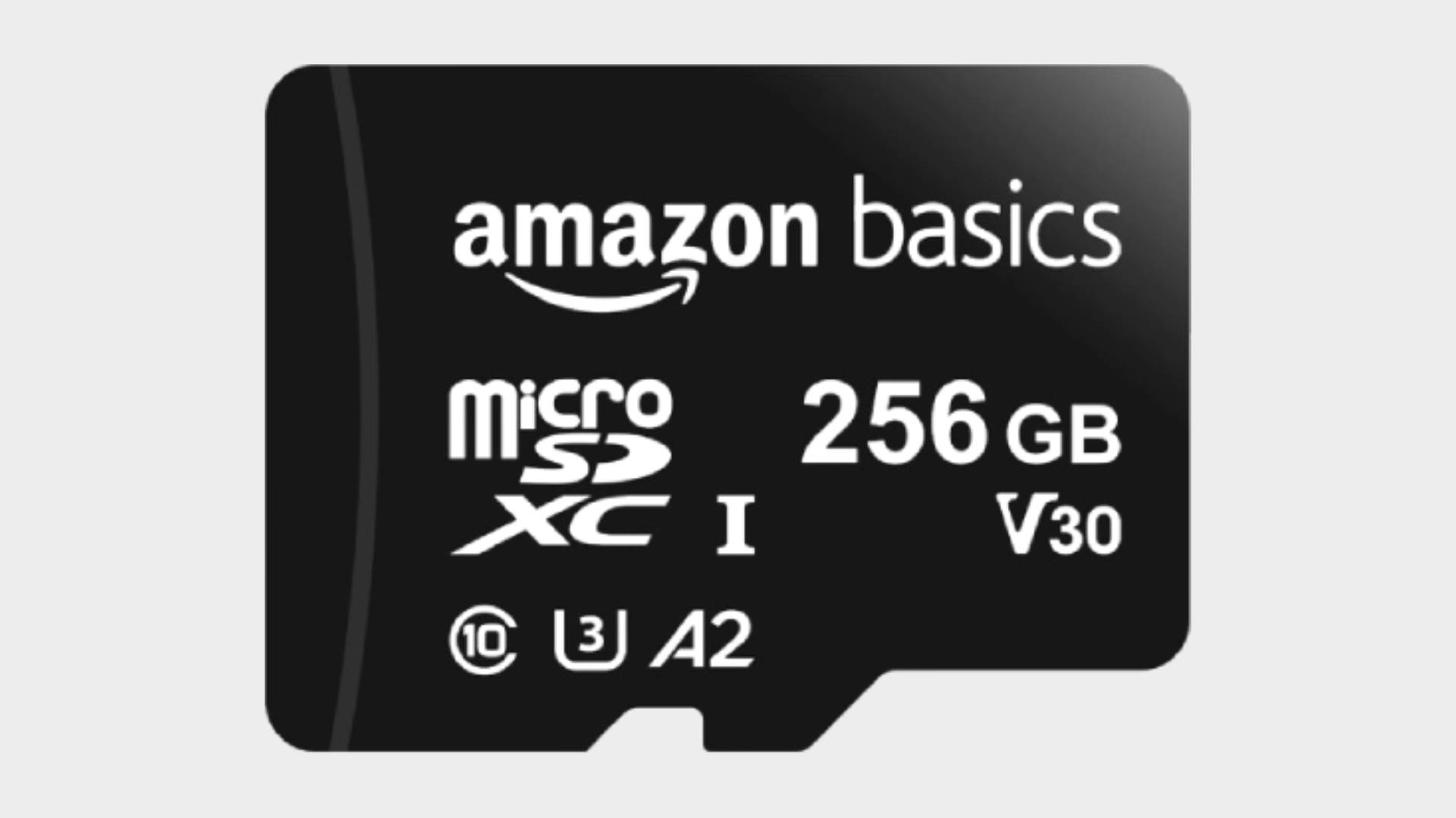 Product image of the Amazon Basics 256GB microSD card, with a gray background.