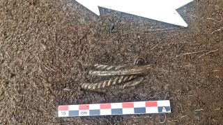 A set of four silver bracelets found in the soil. 