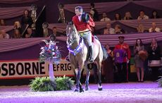 Rory Gilsenan riding Atlantic Slim, winner of the Cuddy Working Hunter at HOYS 2018