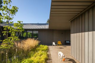 blooms and plants against decked terrace in meadow house in oregon