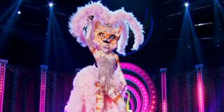 The Kitty The Masked Singer Fox