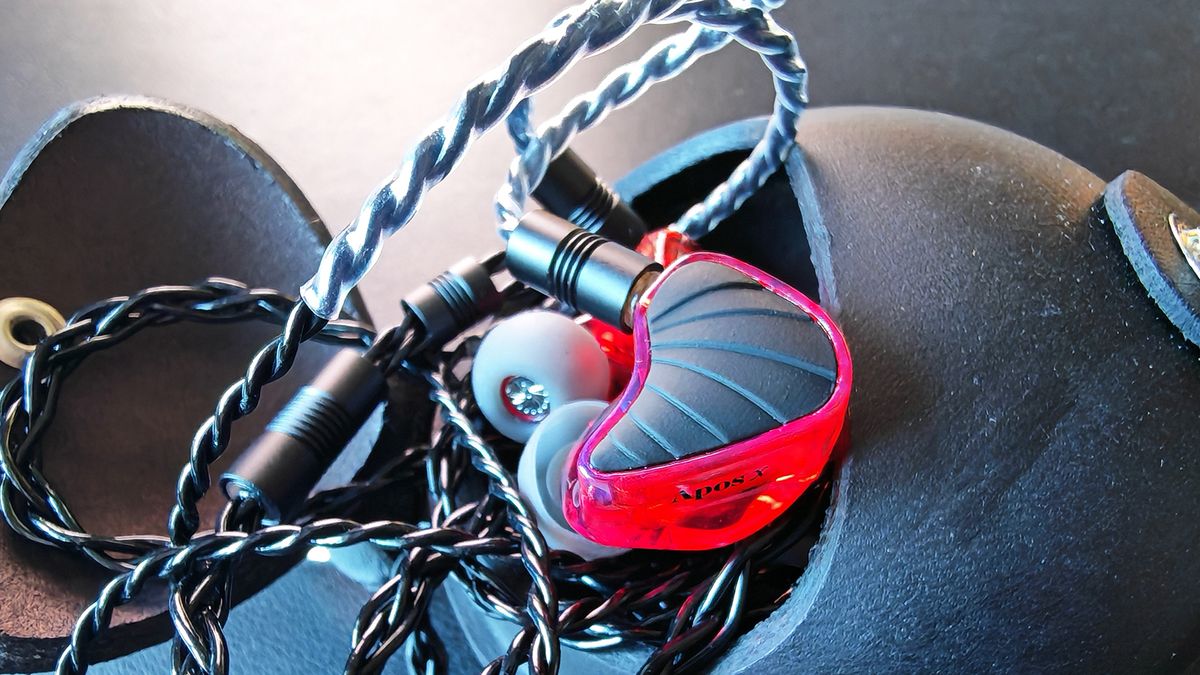 Photos of the Rock Lobster IEM.